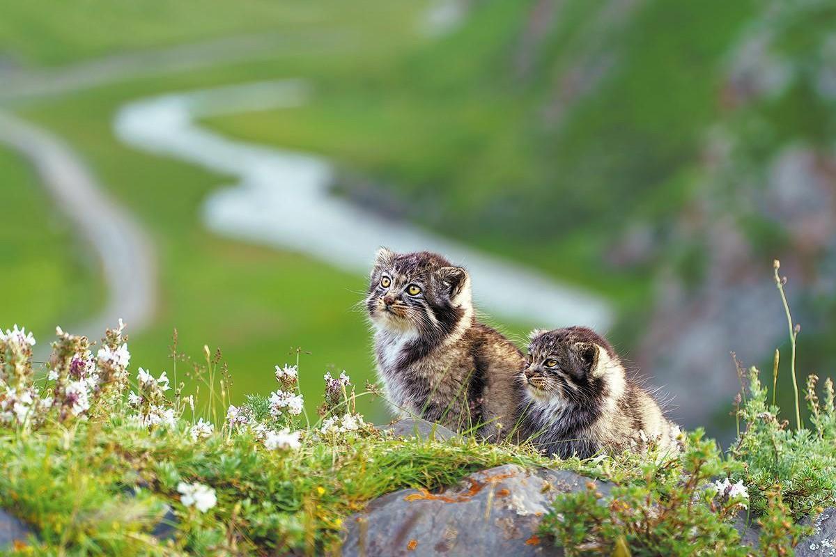 Réka új ajánlata - 3